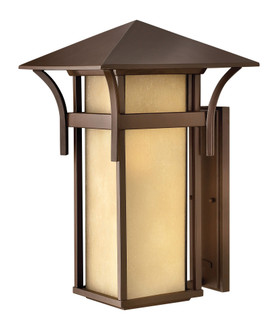 Large Wall Mount Lantern (87|2579AR)