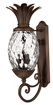 Large Wall Mount Lantern (87|2224CB)