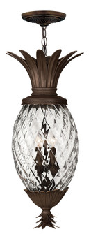 Large Hanging Lantern (87|2222CB)