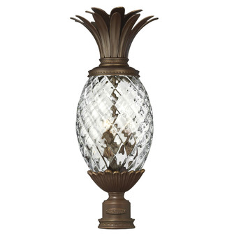 Large Post Top or Pier Mount Lantern (87|2221CB)