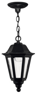 Medium Hanging Lantern (87|1412BK)