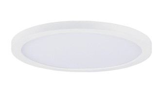 Chip-Flush Mount (19|57694WTWT)