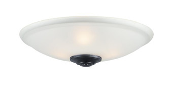 Fan Light Kits-Ceiling Fan Light Kit (19|FKT213FTBK)