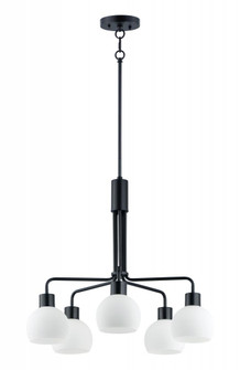 Coraline-Chandelier (19|11277SWBK)