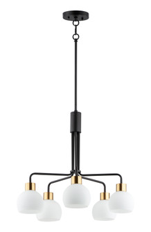Coraline-Chandelier (19|11277SWBZSBR)