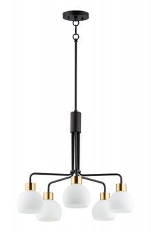 Coraline-Chandelier (19|11277SWBZSBR)