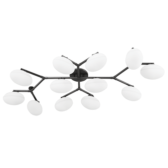 Wagner Semi Flush (57|5559-OB)