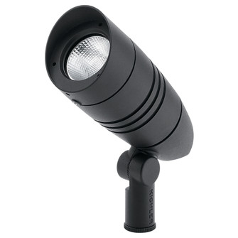 C-Series Accent 425Lm 40Deg 30 (2|16210BKT30)