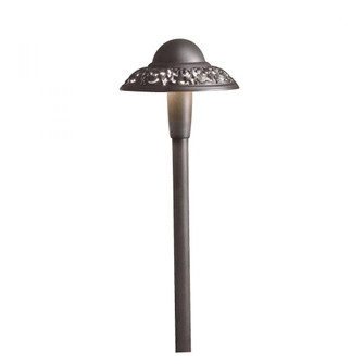 Led Pierced Dome (2|15857AZT30R)