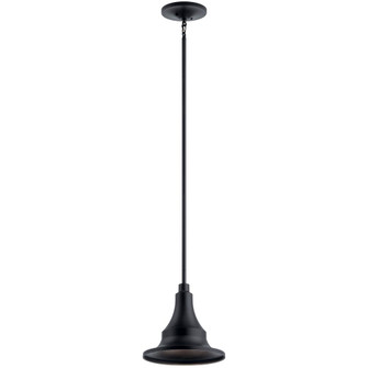 Outdoor Pendant 1Lt (2|59057BKT)
