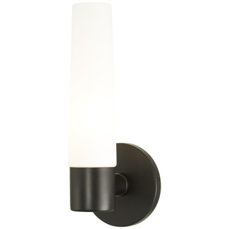Saber 1 Light Wall Sconce (77|P5041-66A)