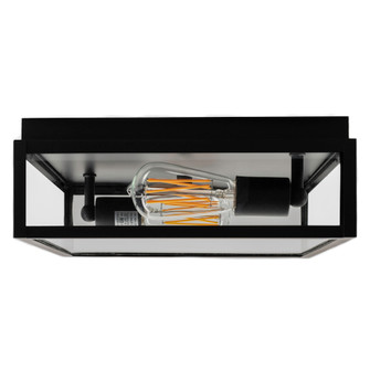 Capture Outdoor Flush Mount Ceiling Light (148|1184-MB-CL)