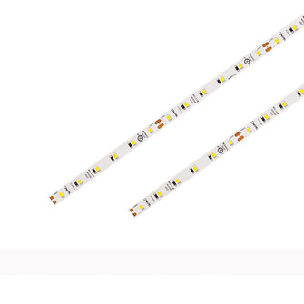 BASICS LED TAPE (1357|T24-BS2-100-30WT)