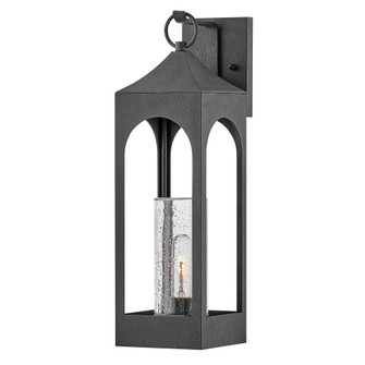 Large Wall Mount Lantern (87|18084DSZ)