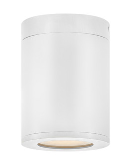 Extra Small Flush Mount (87|13592SW-LL)