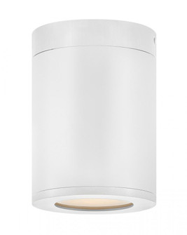 Extra Small Flush Mount (87|13592SW-LL)