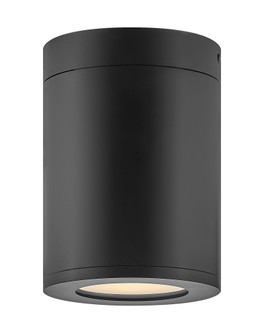 Extra Small Flush Mount (87|13592BK-LL)