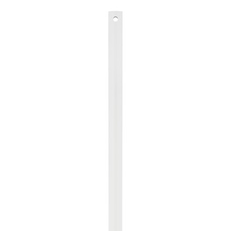 60'' Coastal Downrod in Matte White (6|DRC60RZW)
