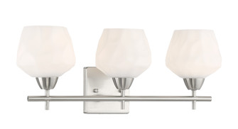 Camrin - 3 Light Bath (10|3173-84)