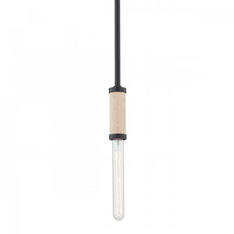 Cruiz Pendant (52|F6701-SBK)