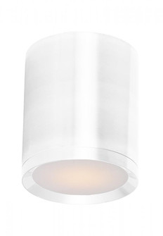 Lightray LED-Outdoor Flush Mount (19|86104WT)