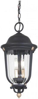 Peale Street - 3 Light Outdoor Chain Hung (10|73236-738)