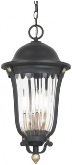 Peale Street - 4 Light Outdoor Chain Hung (10|73237-738)