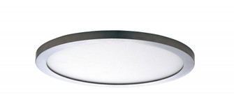 Wafer-Flush Mount (19|58714WTSN)