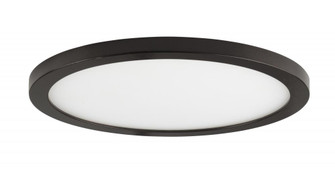 Wafer-Flush Mount (19|58736WTBZ)