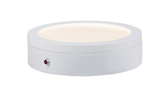 Wafer - 0-10 V-Flush Mount (19|58784WTWT)