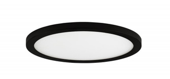 Wafer-Flush Mount (19|58714WTBK)
