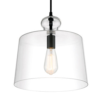 Clarity - 1 Light Pendant (10|2336-66A)