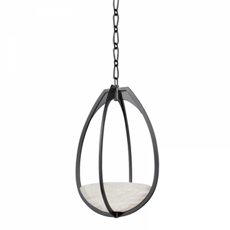 Lloyd Pendant (57|4313-BLNK)