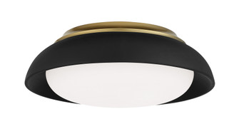 LED Flush Mount - 15'' (10|719-661-L)