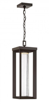 Shore Pointe - LED 20.75'' 1 Light Exterior Chain Hung Lantern (10|72797-143-L)