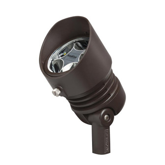 120V 3000K LED 12.5W Accent 35-Degree Bronzed Brass (2|16201BBR30)