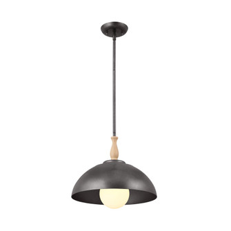 Thera 14'' 1 Light Pendant Anvil Iron (2|52476AVI)