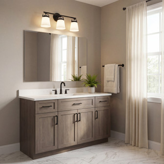 Kaden 3-Light Bathroom Vanity Light in Matte Black (128|8-1627-3-BK)