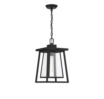 Denver 1-Light Outdoor Hanging Lantern in Matte Black (128|5-2025-BK)