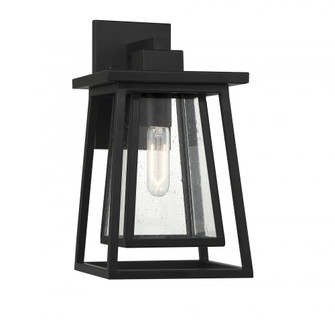 Denver 1-Light Outdoor Wall Lantern in Matte Black (128|5-2021-BK)