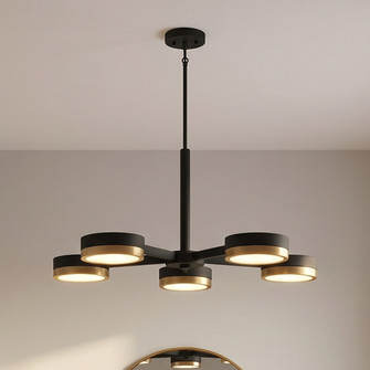 Ashor 5-Light LED Chandelier in Matte Black with Warm Brass Accents (128|1-1635-5-143)