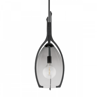 Pacifica Pendant (52|F8313-FOR)