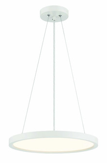 30 Watt LED Pendant Fixture in Metal (10|725-44-L)