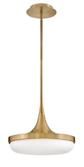 Medium LED Convertible Pendant (88|FR35047LCB)