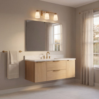 Darby 3-Light Bathroom Vanity Light in Warm Brass (128|8-6901-3-322)