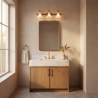 Adams 3-Light Bathroom Vanity Light in Warm Brass (128|8-4417-3-322)