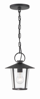 Andover 1 Light Matte Black Outdoor Pendant (205|AND-9203-CL-MK)