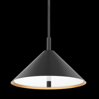 Brianna Pendant (6939|H629703-GL/SBK)