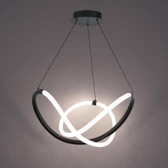 Solo Pendant Light (1357|PD-19324-BK)