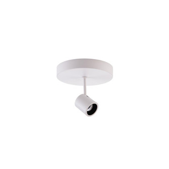 Stealth Silo Monopoint Luminaire (1357|MO-2007-927-WT)